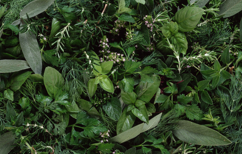 Talk about your brand