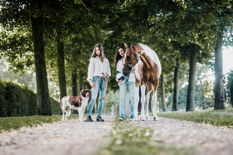 Vet formulated natural supplements for a healthier horse