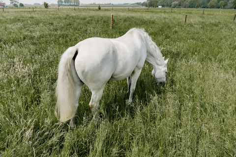 3. Track Weekly for Eight Weeks