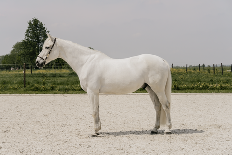 1. Establish Your Baseline 