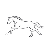 Koń