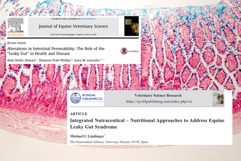 Talk about your brand