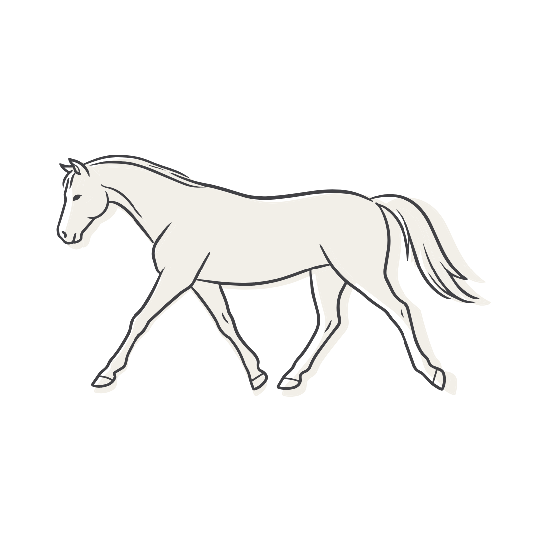 Line drawing of a horse in motion on a white background