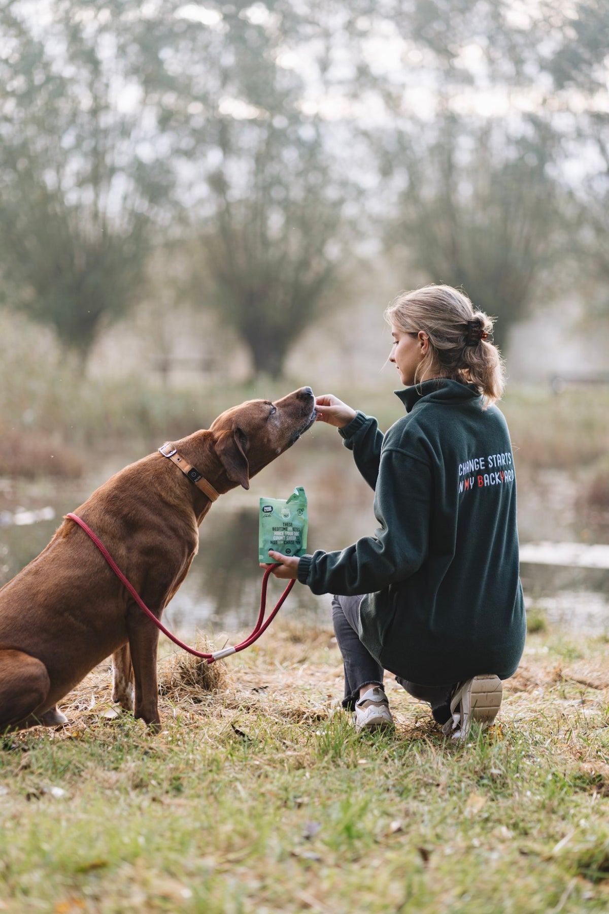 Hundeejer giver sin hund en Imby-snack