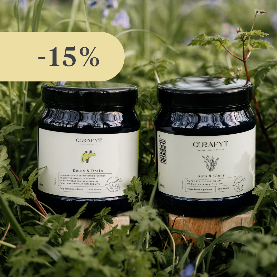 Bundle d'automne