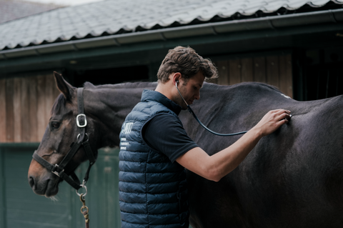 Exclusieve professionele voorwaarden