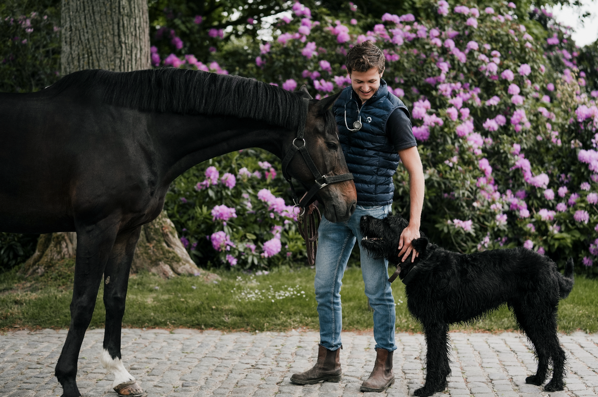Veterinarian with a horse and a dog