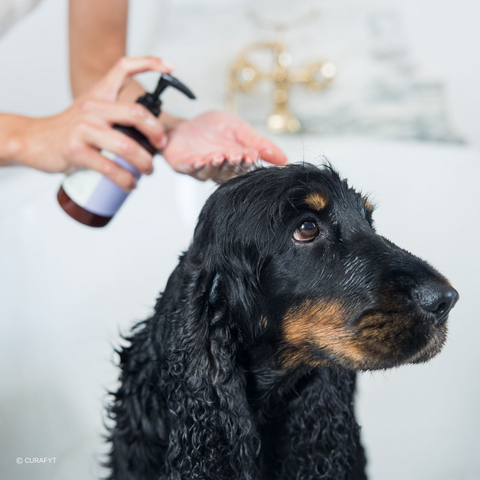 Natural shampoo for dogs and puppies with itchy and sensitive skin