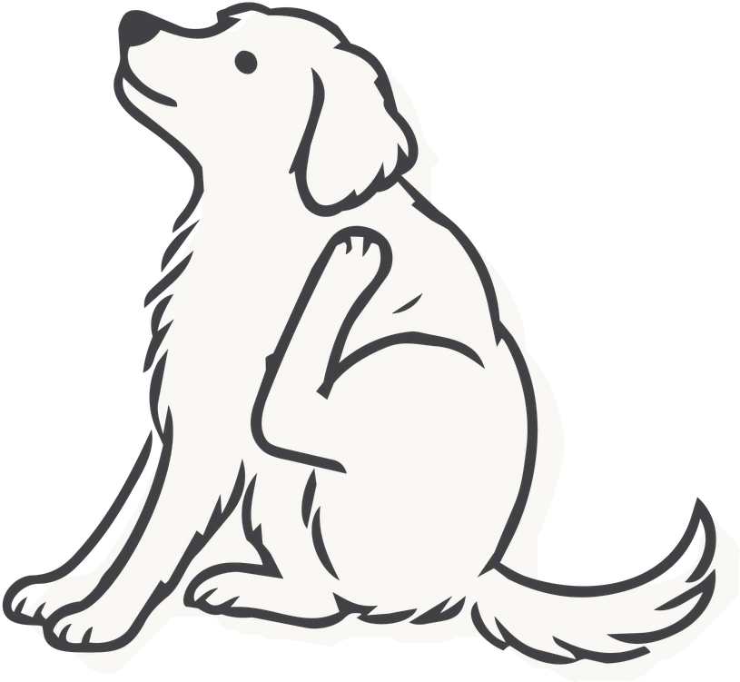 Illustration of a dog scratching itself