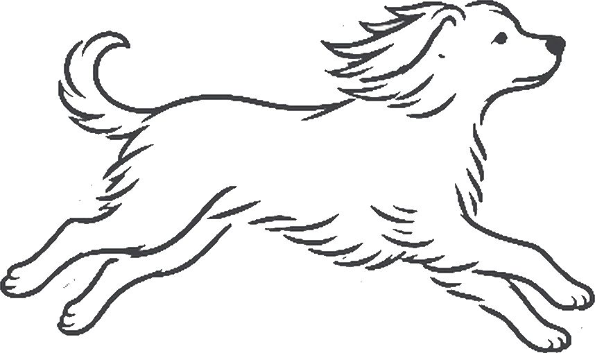 Illustration of a happy dog running